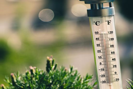 A thermometer for measuring temperature, which impacts equilibrium moisture content