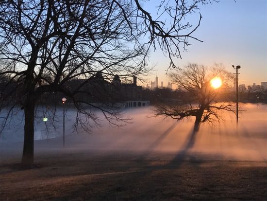 A sunrise over a park with a misty fog above the grass, making for a higher moisture content in the air