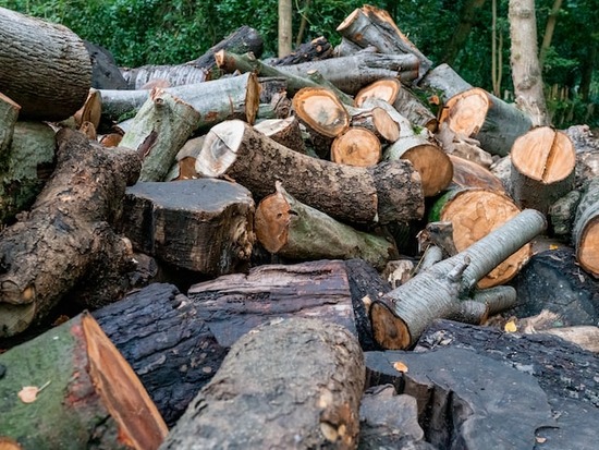 Wet Wood Logs A pile of wet wood