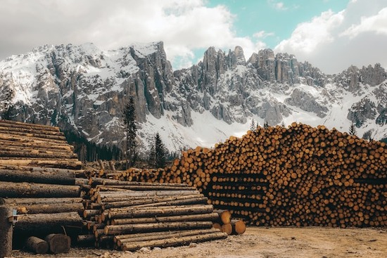 Piles of green lumber at a lumberyard