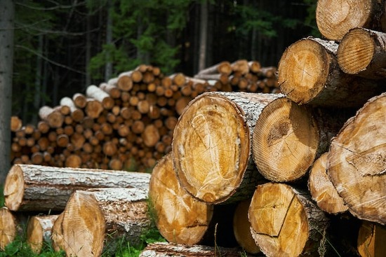 Air Drying and Kiln Drying—How Long Do They Take?