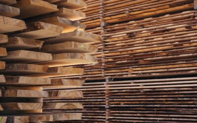 What Every Woodworker Should Know About Kiln Drying Wood