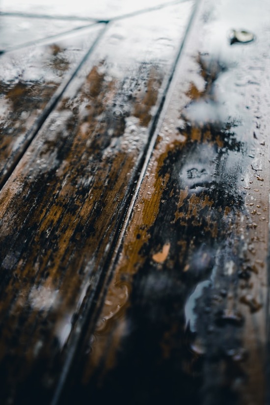 A wood floor with mold growing on it