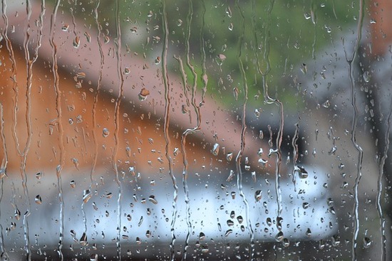 A Beginner’s Guide to Fixing and Preventing Water Intrusion