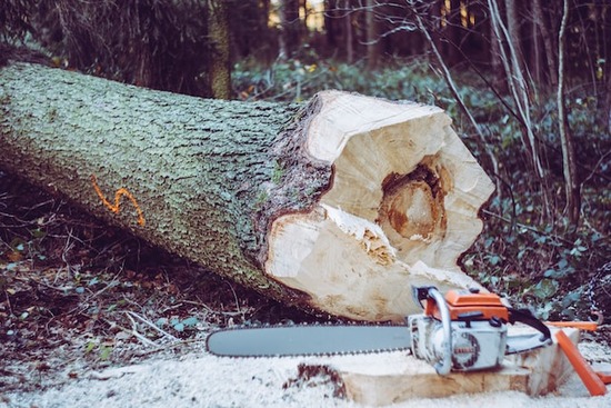 An orange chainsaw in front of a large log
