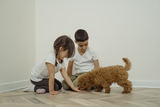  Children and a dog playing on a hardwood floor