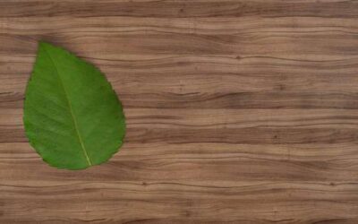 What You Need to Know About Eco-Friendly Wood Flooring