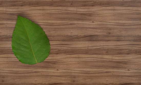 What You Need to Know About Eco-Friendly Wood Flooring