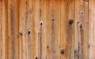 Wood Defects and How To Prevent Them