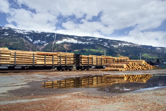 Stacks of lumber at a lumberyard