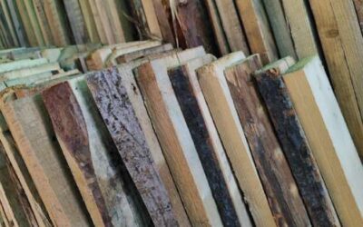 Don’t Let Moisture Ruin Your Wood Project