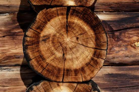 A wooden stump with prominent rings and cracks