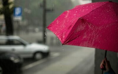 Does Climate Affect Moisture Meter Readings?