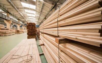 How to Choose High-Quality Wood Using a Moisture Meter
